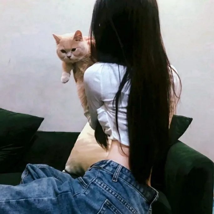 爱情冒险家